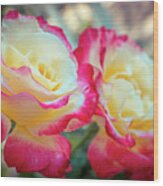 Beautiful Roses From My Garden 1a Wood Print