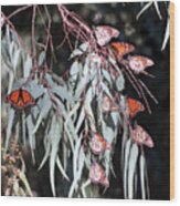 Beauty And The Butterflies Wood Print