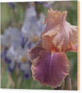 Beauty Of Irises. Carnaby Wood Print
