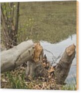 Beaver Breakfast Wood Print