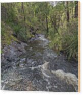 Beedelup Falls, Pemberton, Western Australia Wood Print