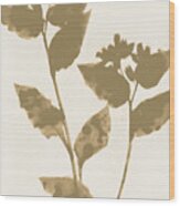 Beige And Taupe Flowers Wood Print
