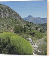 Green Mountain Landscape Near The Mediterranean Coast Wood Print