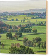 Belgium Countryside Wood Print