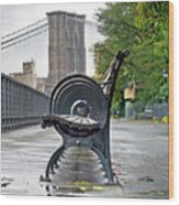 Bench's Circles At New York City's Brooklyn Heights - Color Version Wood Print