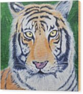 Bengal Tiger Wood Print