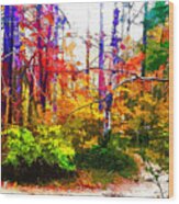 Bent Creek Autumn Wood Print