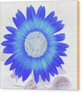 Blue Flower Power Wood Print