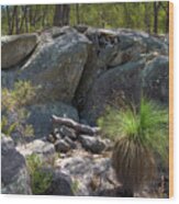 Big Granite Rock In The Western Australian Bush Wood Print