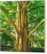 Big Spikey Tree Woods Wood Print