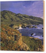 Big Sur Coast Of California Wood Print