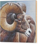 Bighorn Sheep Wood Print