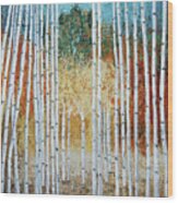 Birch Trees And Fall Color Wood Print