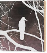 Bird 79 Crow Raven Wood Print