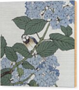 Bird In Hydrangeas, Vintage Japanese Botanical Print Wood Print