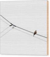 Bird On A Wire Wood Print