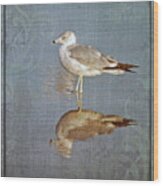Bird Reflection Wood Print