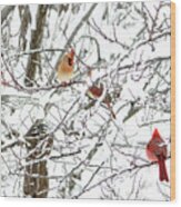 Birds In A Snowy Tree Wood Print