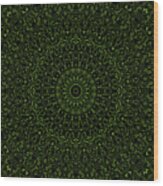 Black And Green Mandala Kaleidoscope Medallion Flower Wood Print