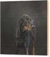 Black And Tan Coonhound Portrait Wood Print
