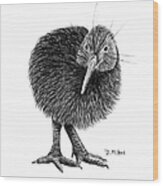 Black And White Kiwi Bird Of New Zealand Wood Print