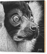 Black And White Ruffed Lemur Wood Print