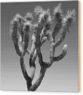 Black Arizona Series - The Joshua Tree Wood Print