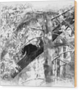 Black Bear Cub In Tree Paintography Wood Print
