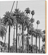 Black California Series - L.a's Palm Trees Wood Print