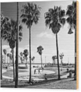 Black California Series - Venice Beach Skate Park Wood Print