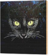 Black Cat Wood Print