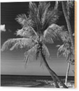 Black Florida Series - Key West Beach Wood Print