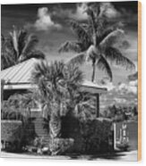 Black Florida Series - Tropical House Key West Wood Print