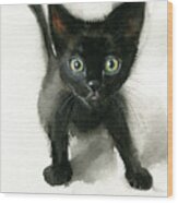 Black Kitten Painting Wood Print