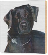 Black Lab, Sadie Wood Print