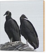 Black Vultures Wood Print