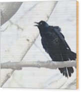 Blackbird Singing Wood Print