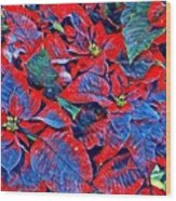 Blue And Red Poinsettias Wood Print