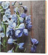 Blue Delphiniums Wood Print