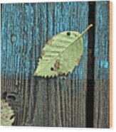 Blue Dock, 2004 Wood Print
