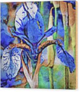 Blue Dutch Iris Wood Print