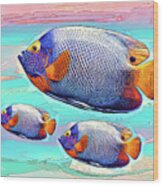 Blue Fish Trio Wood Print