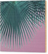 Blue-green Palm Leaf And Pink Sky, Summer Season Wood Print