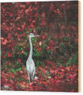 Blue Heron And Red Autumn Leaves Wood Print