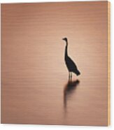 Blue Heron Silhouette And Reflection Wood Print