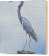 Blue Heron Wood Print