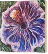 Blue Hibiscus Wood Print