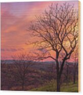 Blue Hour Sunset Trexler Nature Preserve Wood Print