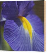 Blue Iris With Yellow Wood Print