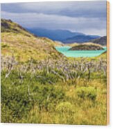 Blue Lagoon In Torres Del Paine, Chile Wood Print